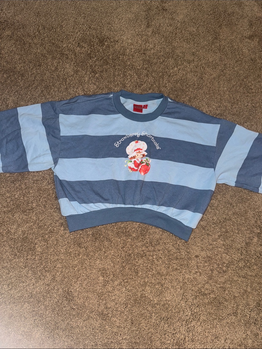 World of Strawberry Shortcake Blue Striped Crop Sweatshirt - Picture 4 of 4